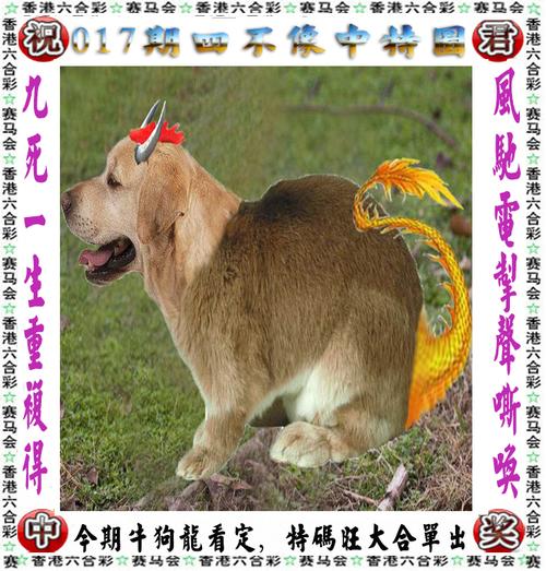 香港精准一码资料,准确答案解释落实_3DM4121,127.13