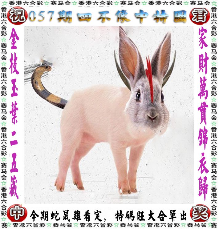 澳门今晚开奖结果2023澳门,数据解释落实_整合版121,127.13