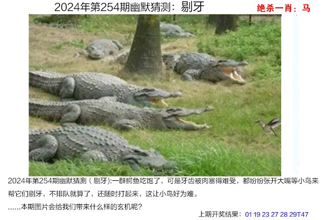 十点半澳门六免费资料网站大全,豪华精英版79.26.45-江GO121,127.13
