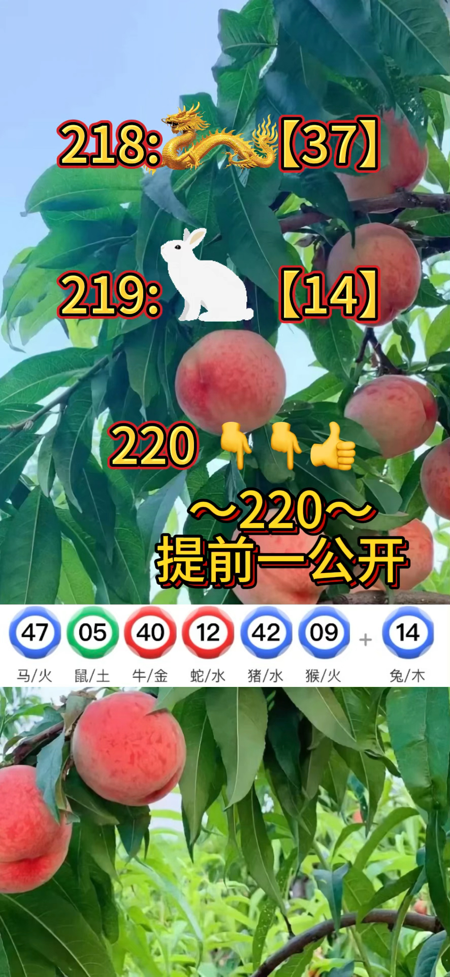 今晚新澳门开什么号码,资深解答解释落实_特别款72.21127.13.