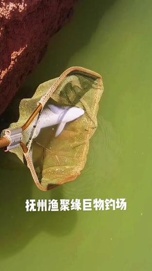 新闻中心 第256页
