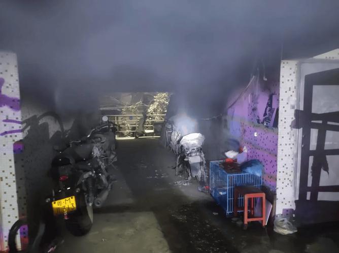 2025全年資料免費大全和车棚起火烧上百辆车与车棚起火烧上百辆车怎么办