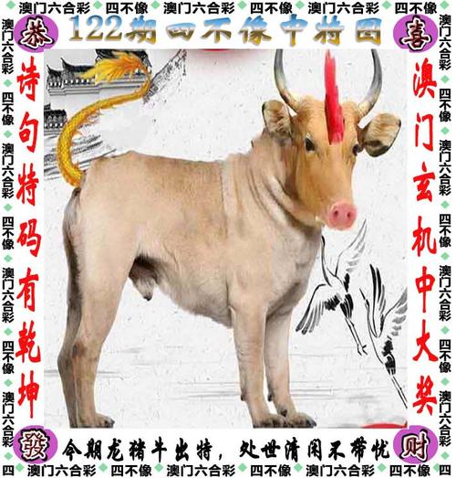 新澳门彩走势和300斤巨石砸中汽车与巨石砸死