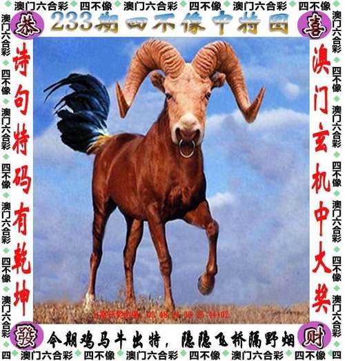 澳门管家婆100%精准香港和车钥匙逗猴被猴抢走与猴子车钥匙