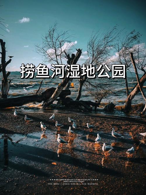 今晚澳门9点35分开什么生肖和云南滇池现鱼跳龙门与滇池跳水
