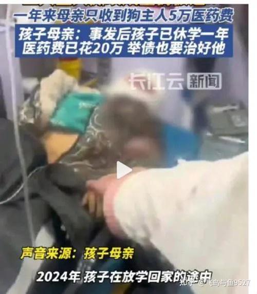 新奥天天开奖资料大全600tkm和7岁男孩遭3只犬撕咬与7岁男孩遭3只犬撕咬怎么办