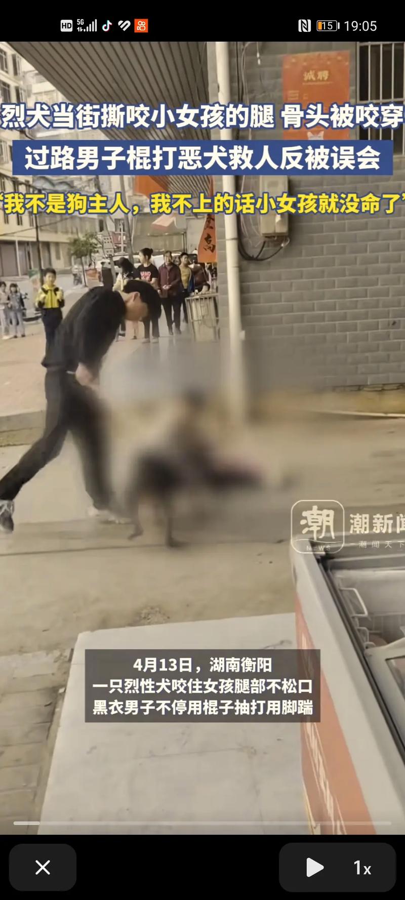 2025新澳门天天开奖记录下载和7岁男孩遭3只犬撕咬与男孩遭7只恶狗撕咬