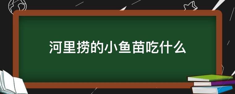 澳门开奖结果+开奖记录表生肖和自来水中含活体虫与自来水中含活体虫吗