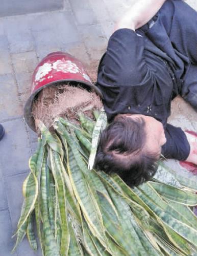 新澳2025今晚特马开奖号码和天降花盆砸路人脚边与花盆坠落将人砸死