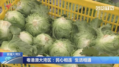 澳门大学研究生申请官网和商家互砸西瓜丢荔枝与
